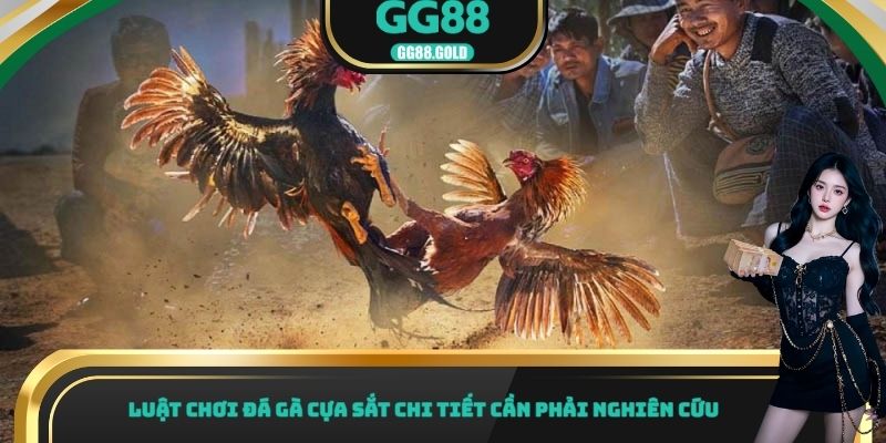 Luật chơi đá gà cựa sắt chi tiết cần phải nghiên cứu