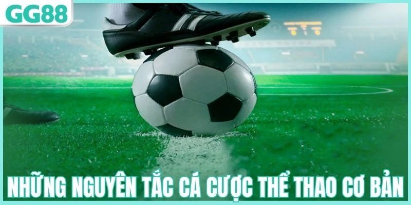 Những nguyên tắc cá cược thể thao cơ bản